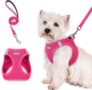 rabbitgoo Dog Harness Small Sized and Leash Set, Step in Soft Light Puppy